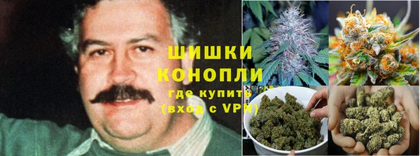гидропоника Зеленодольск