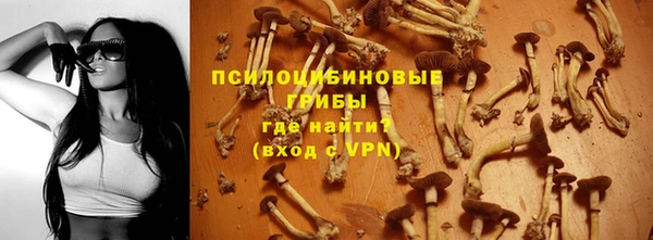 гидропоника Зеленодольск