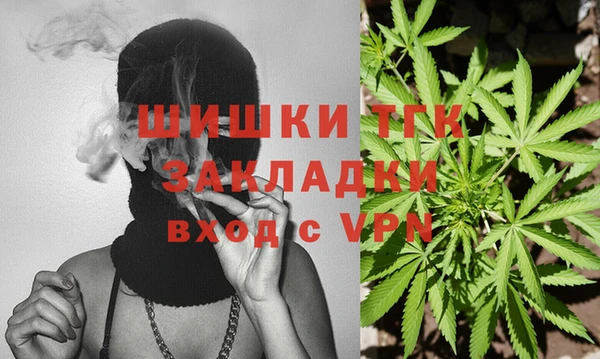гидропоника Зеленодольск